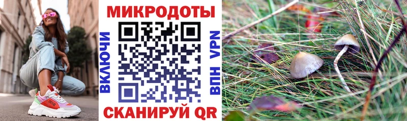 Псилоцибиновые грибы мухоморы  Звенигово 
